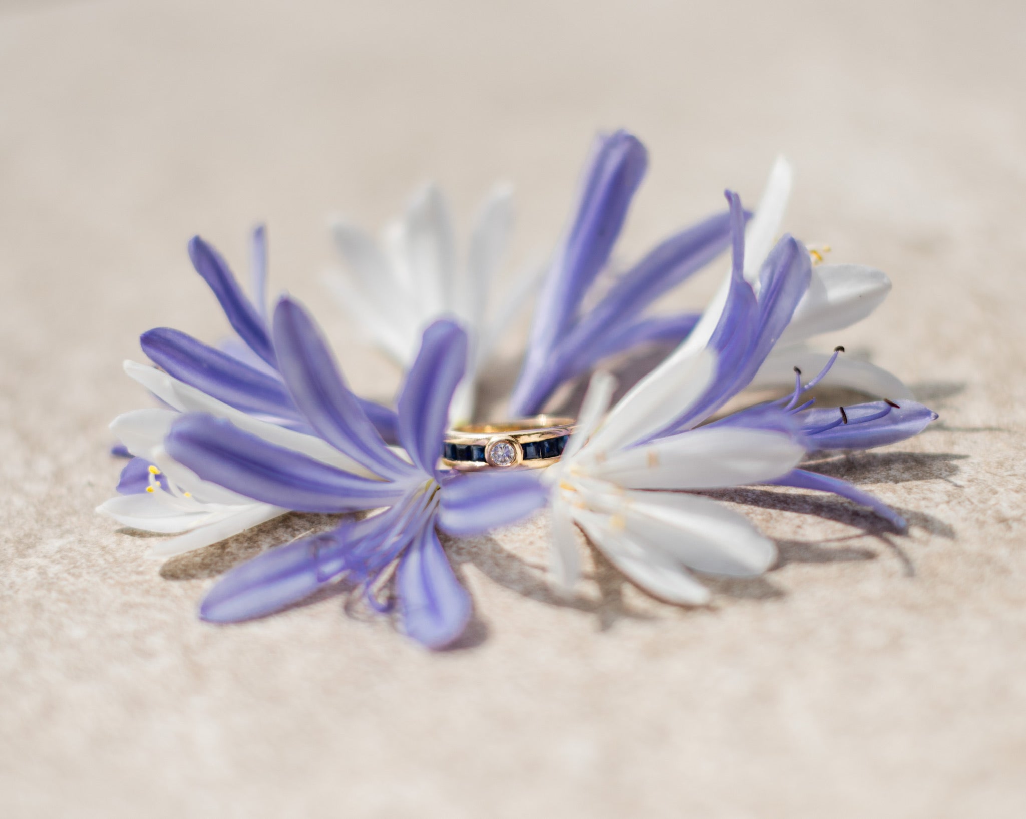 Le bleuet — 6