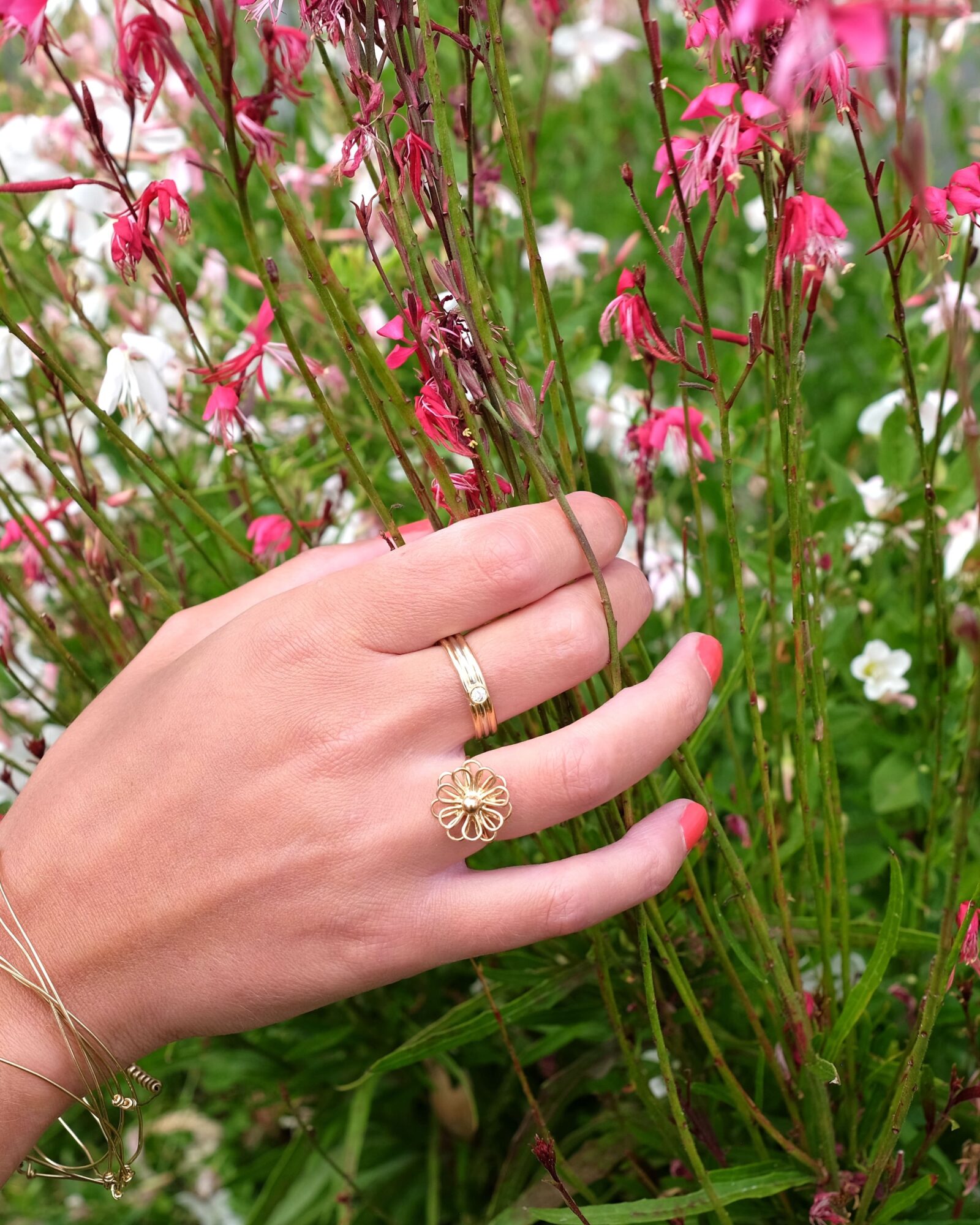 La marguerite — 2